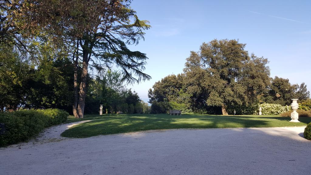 Villa Lattanzi Marina Palmense Bagian luar foto